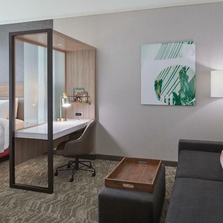 Springhill Suites By Marriott East Lansing University Area, Lansing Area Екстериор снимка